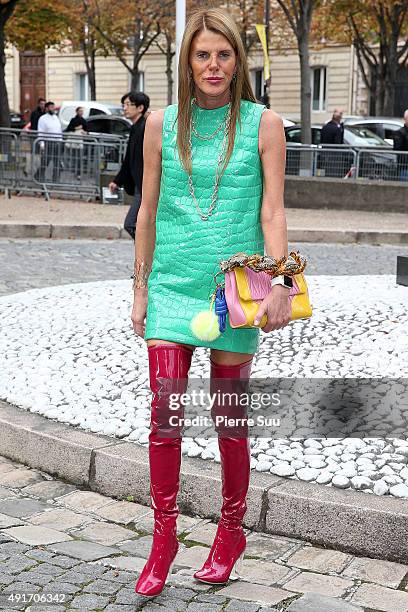 Anna Dello Russo arrives at the Miu Miu show as part of the Paris Fashion Week Womenswear Spring/Summer 2016 on October 7, 2015 in Paris, France.