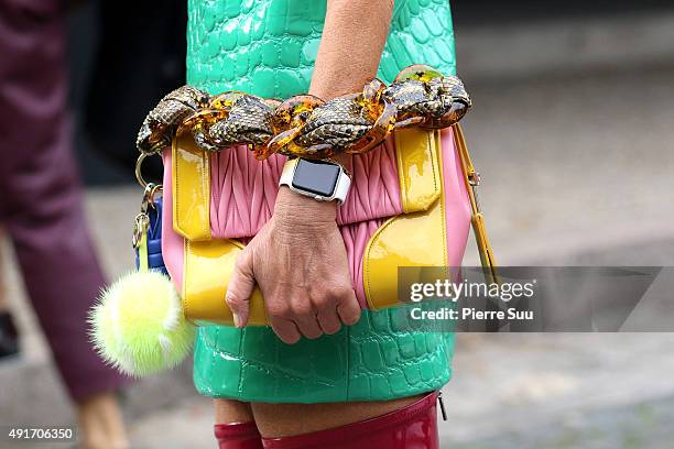 Anna Dello Russo, handbag detail, arrives at the Miu Miu show as part of the Paris Fashion Week Womenswear Spring/Summer 2016 on October 7, 2015 in...