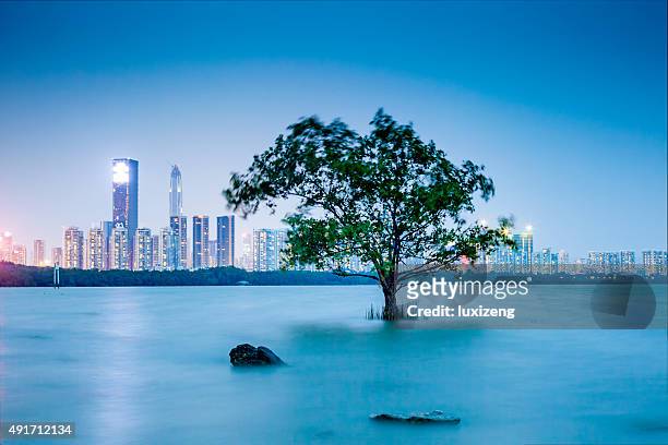 shenzhen bay - shenzhen stock pictures, royalty-free photos & images