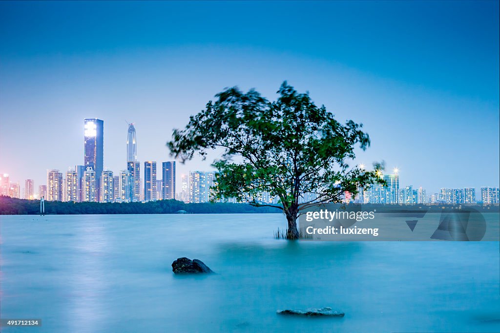 Baía de Shenzhen