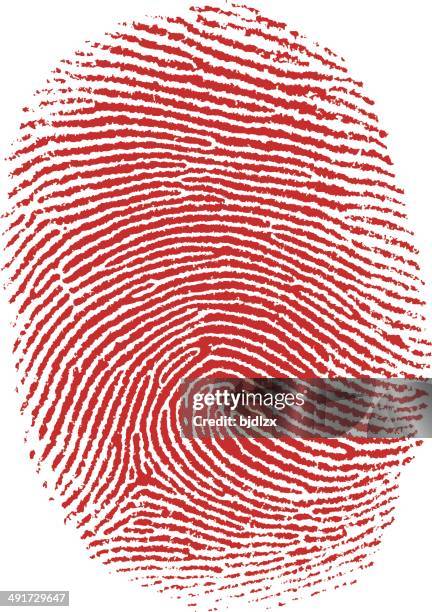 stockillustraties, clipart, cartoons en iconen met thumb fingerprint - vingerafdruk