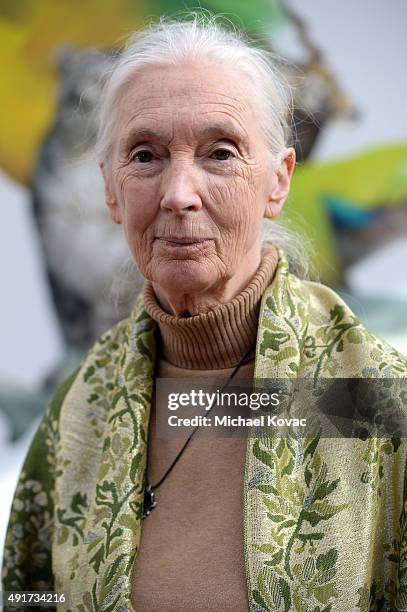 Primatologist and anthropologist Jane Goodall attends the Vanity Fair New Establishment Summit at Yerba Buena Center for the Arts on October 7, 2015...