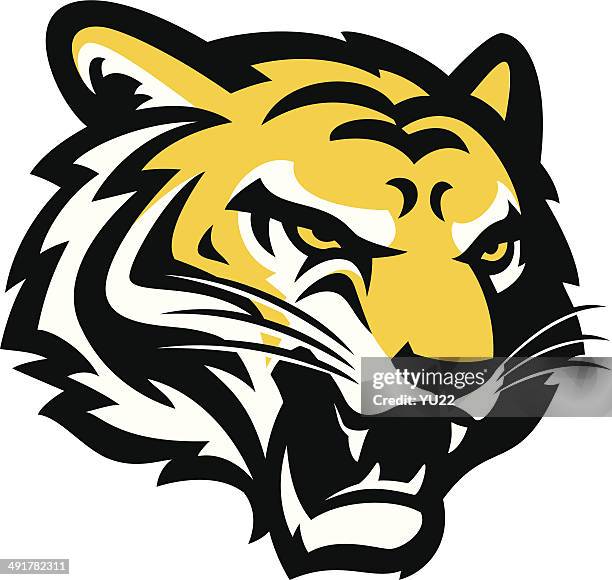 stockillustraties, clipart, cartoons en iconen met tiger head - mascotte