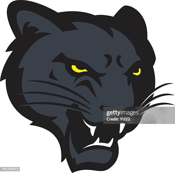 panther head - puma stock illustrations