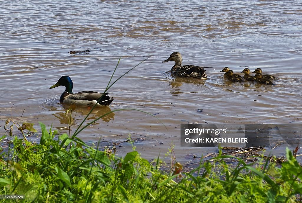 US-WEATHER-FLOODING