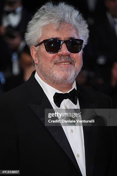 Director Pedro Almodovar attends the "Relatos Salvajes" premiere during the 67th Annual Cannes Film Festival on May 17, 2014 in Cannes, France.