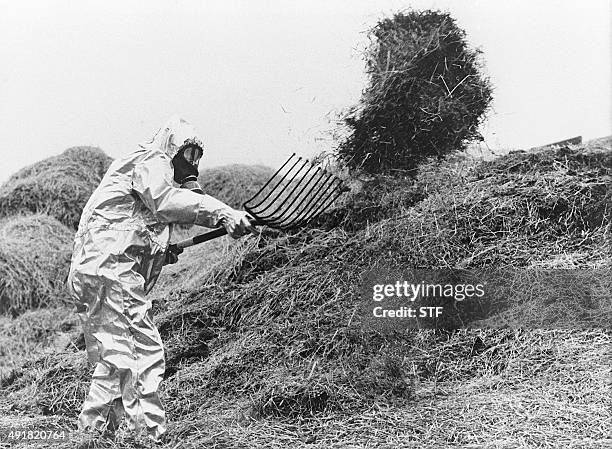 Un agriculteur suédois portant une combinaison antiatomique déplace, en juin 1986, du fourrage contaminé par le nuage radioactif de Tchernobyl,...