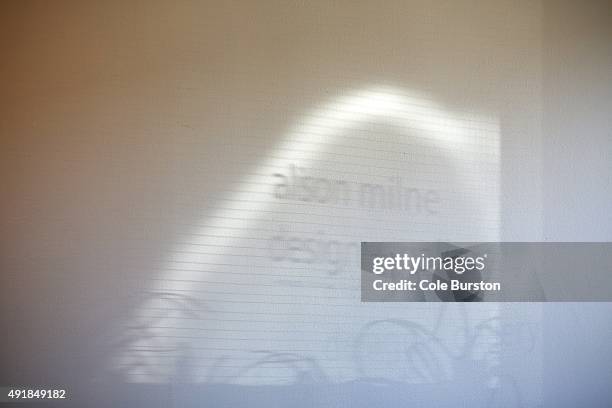 An interior reflection on the wall of Alison Milne Gallery.