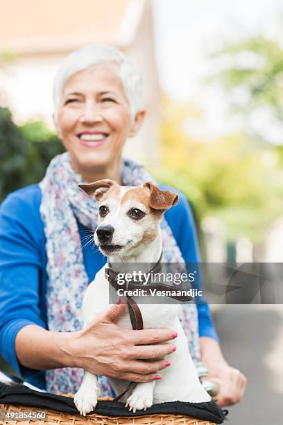 woman with dog on bicycle - dog in bicycle basket stock pictures, royalty-free photos & images