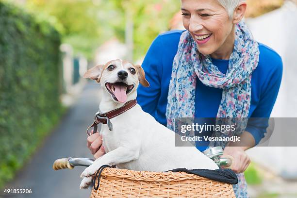 femme avec chien sur la ville - panier de bicyclette photos et images de collection