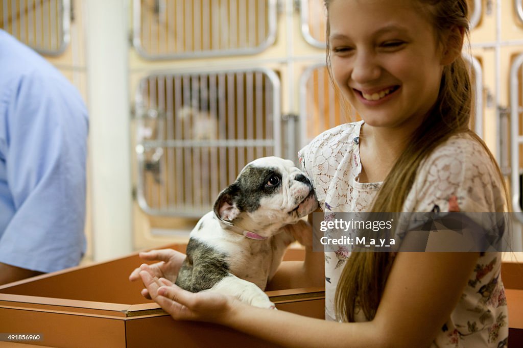 En el animal aprobación centre