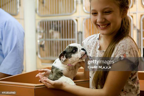 at animal adoption centre - adoption stockfoto's en -beelden