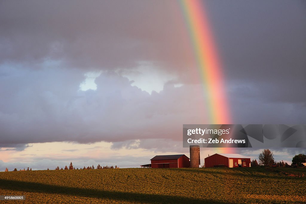 The rainbow at the farm