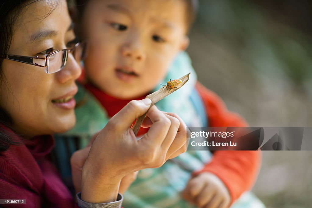 Mother showing kid orange bug