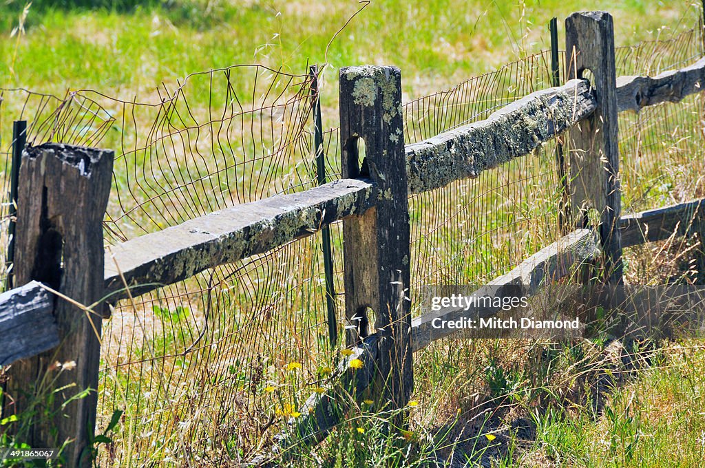 Weathered fence