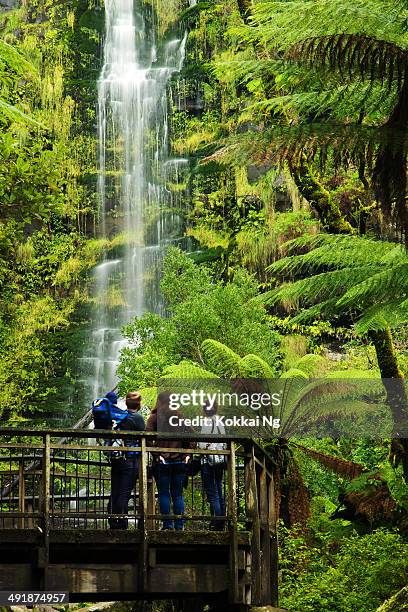 great ocean road - erskine falls - lorne stock pictures, royalty-free photos & images