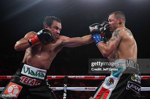 Juan Manuel Marquez lands a left hand to the chin of Mike Alvarado at The Forum on May 17, 2014 in Inglewood, California.