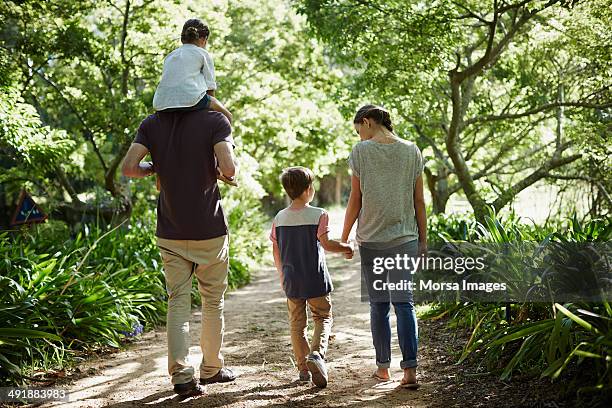 rear view of family walking in park - family walking stock-fotos und bilder