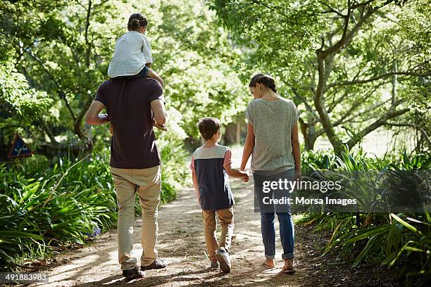 rear view of family walking in park - walking rear view stock pictures, royalty-free photos & images