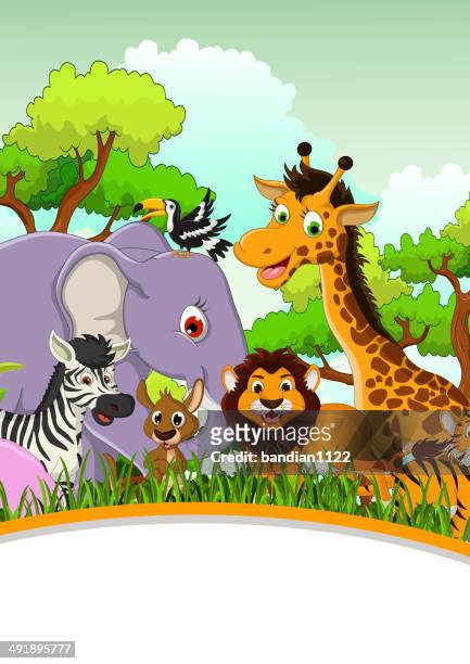 Animal Cartoon With Blank Sign And Tropical Forest Background High-Res  Vector Graphic - Getty Images