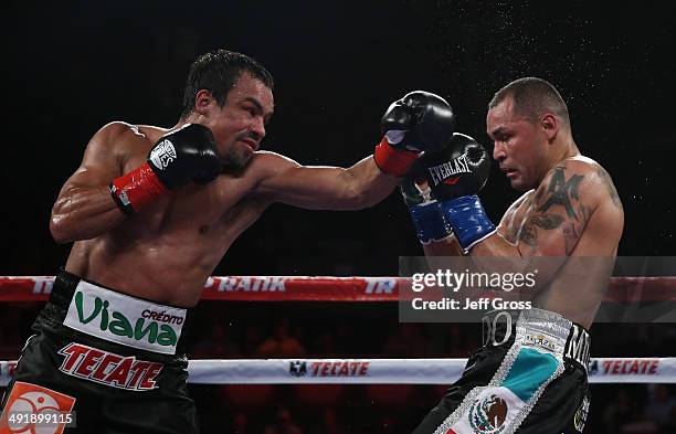 Juan Manuel Marquez throws a left hand at Mike Alvarado at The Forum on May 17, 2014 in Inglewood, California.