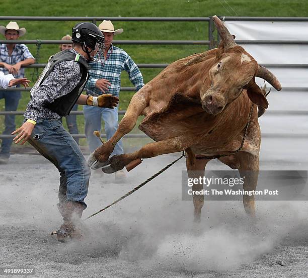 Justin's First Bull Ride 38 Justin Stonestreet Stock Photos, High-Res Pictures, and Images ...