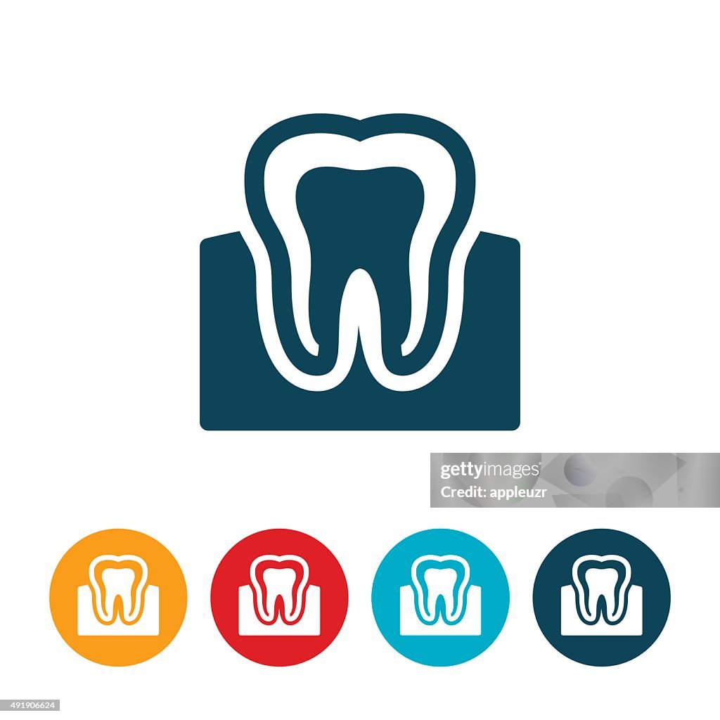 Dente e Gengive
