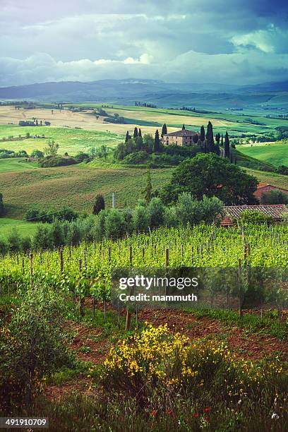 spring landscape in tuscany - chianti streek stockfoto's en -beelden