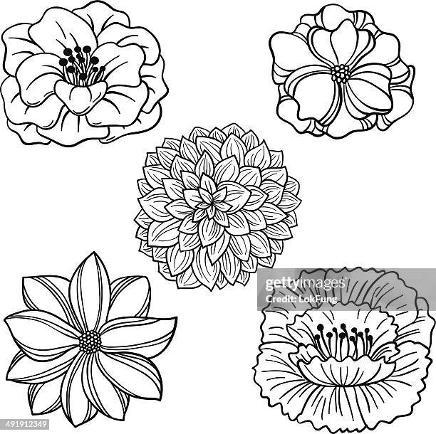 blumen-sammlung in schwarz und weiß - carnation flower stock-grafiken, -clipart, -cartoons und -symbole