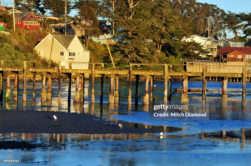 Bodega Bay old pier in tidal waters