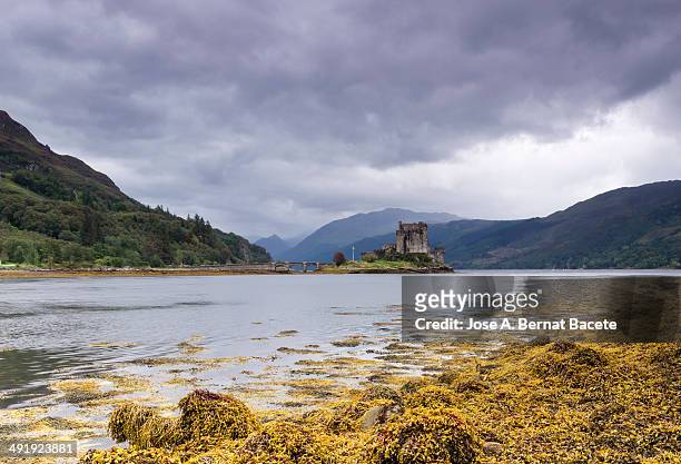 Loch Duich in the center Eileand Donan castle, surrounded by water and with lots of orange seaweed in its waters, a day of storm clouds and rain....