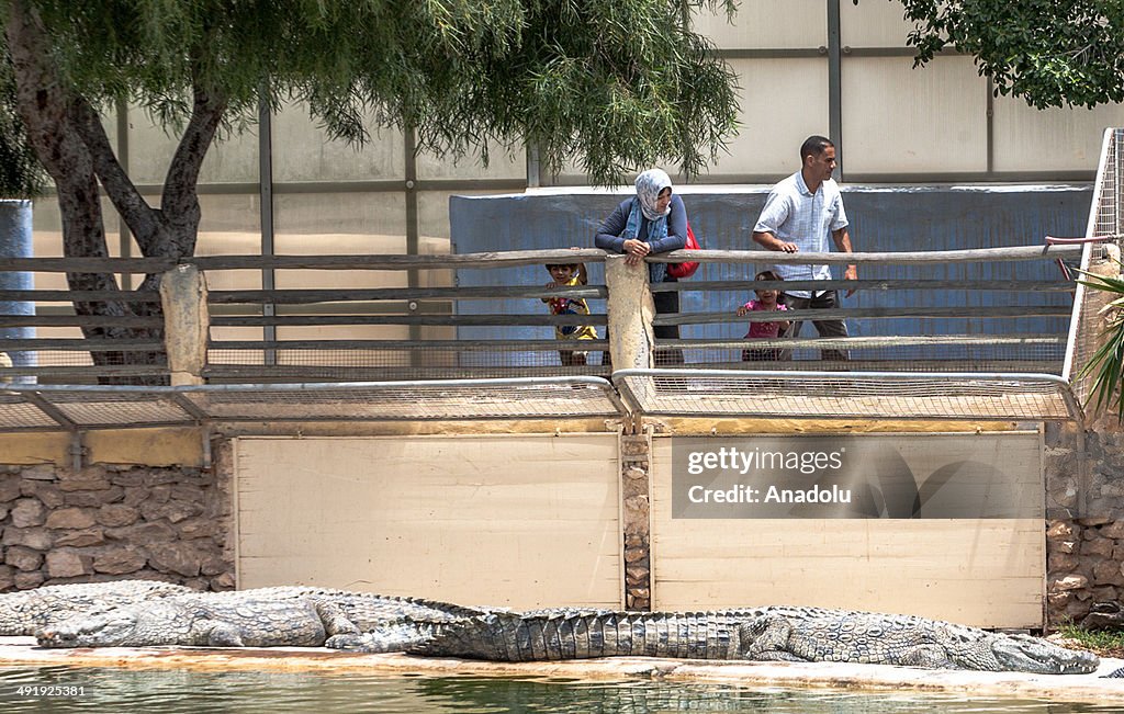 Djerba Crocodile Farm in Tunisia