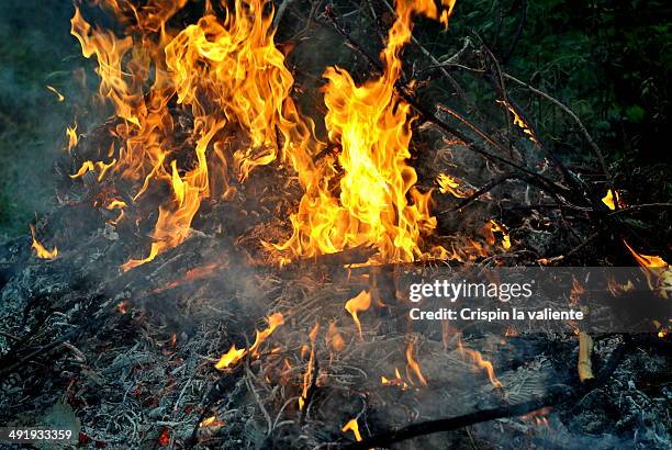 Fire High-Res Stock Photo