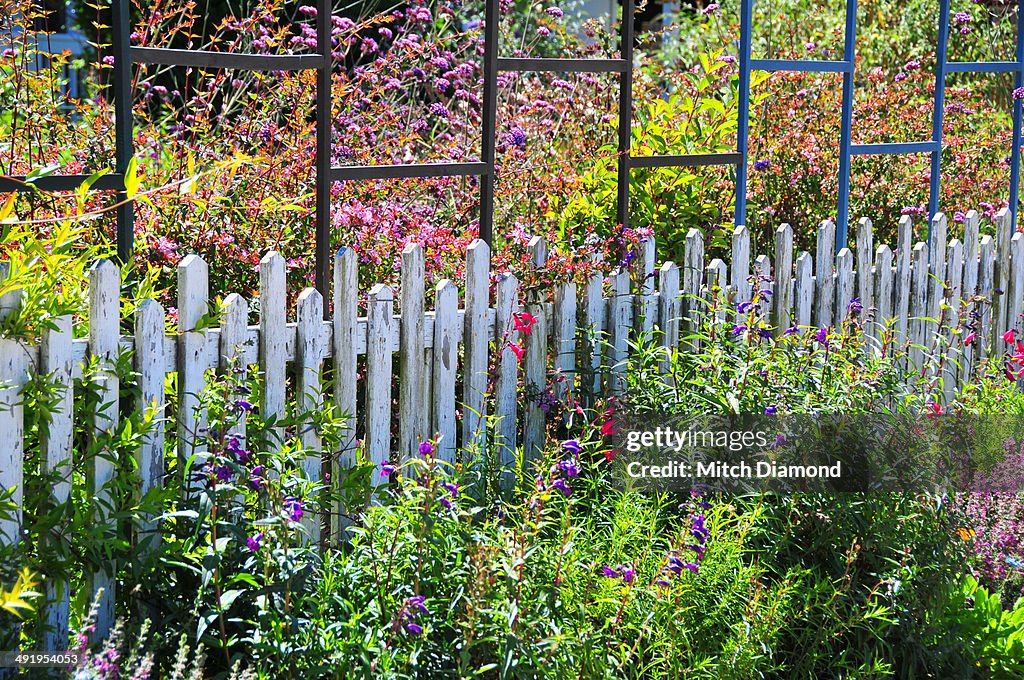 Rustic wood fence