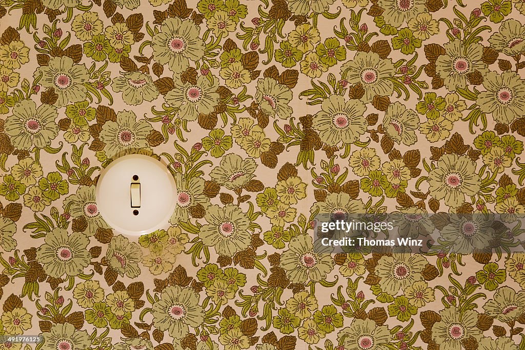 Old wallpaper and light switch