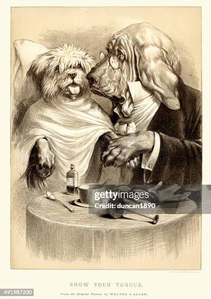1 763点の動物病院イラスト素材 Getty Images 1 763点の動物病院イラスト素材 Getty Images