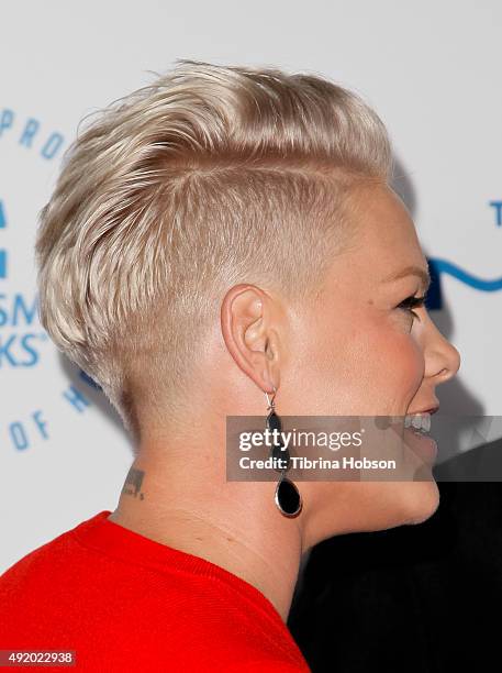 Pink, hair detail, attends the Autism Speaks to Los Angeles Celebrity Chef Gala at Barker Hangar on October 8, 2015 in Santa Monica, California.