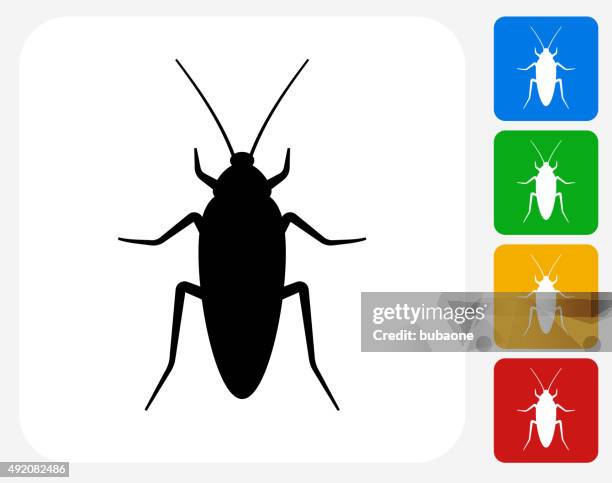 733点のゴキブリイラスト素材 Getty Images 733点のゴキブリイラスト素材 Getty Images
