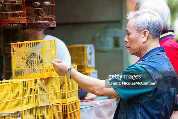 mature asian man shopping for birds - horizontaal 個照片及圖片檔