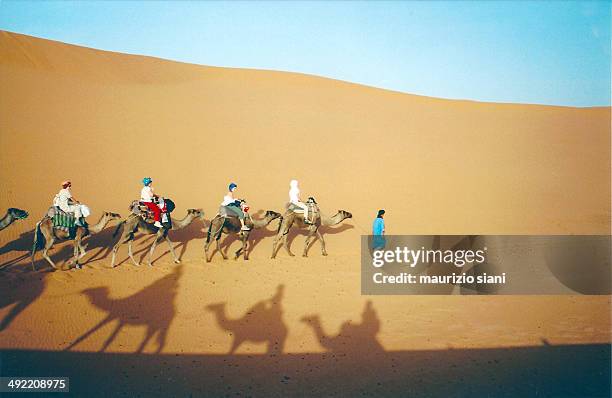 desert - merzouga stock pictures, royalty-free photos & images