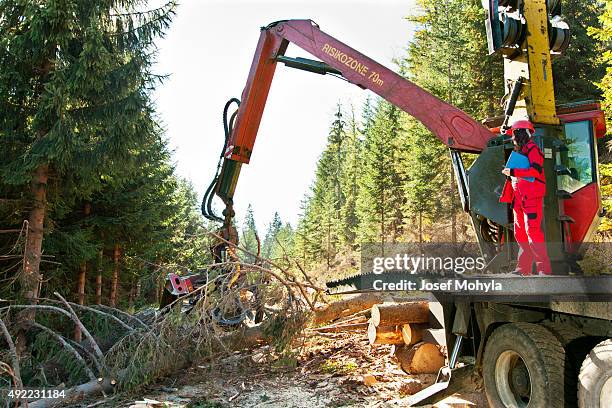 forest harvester entfernt filialen von einem baumstamm - forest machine stock-fotos und bilder