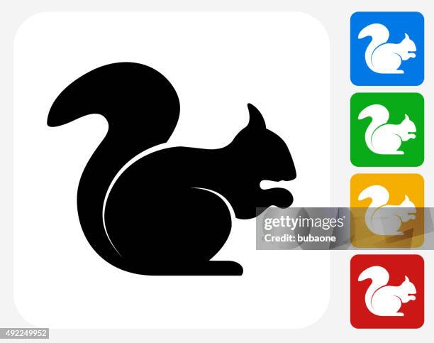 squirrel icon flat graphic design - squirrel stock illustrations