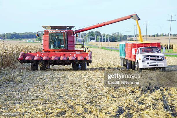 farmer in combine unloading corn harvest onto truck - bloomington illinois stock pictures, royalty-free photos & images