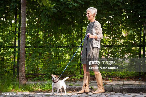 woman with dog - mature adult walking dog stock pictures, royalty-free photos & images