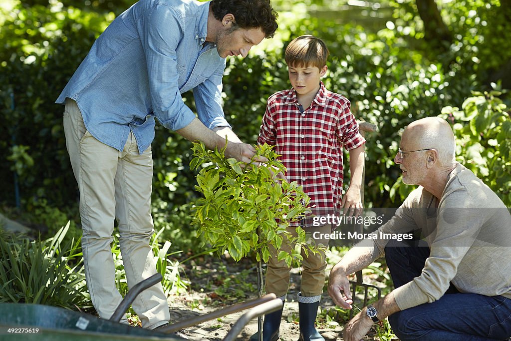 Family gardening in park