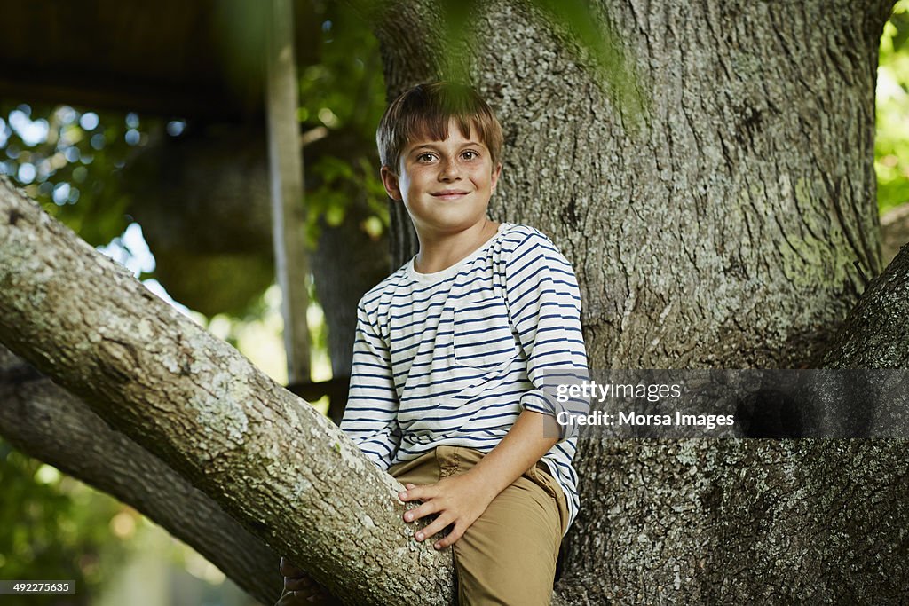 Cute boy sitting on tree branch