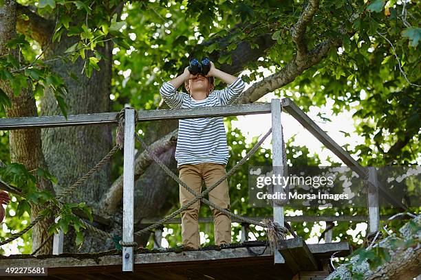 boy using binoculars on treehouse - tree house bildbanksfoton och bilder