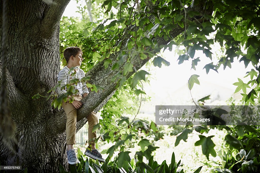 Thoughtful boy sitting on tree branch