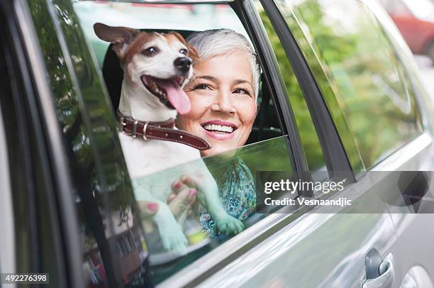 woman traveling by car with a dog - dog in car window stock pictures, royalty-free photos & images