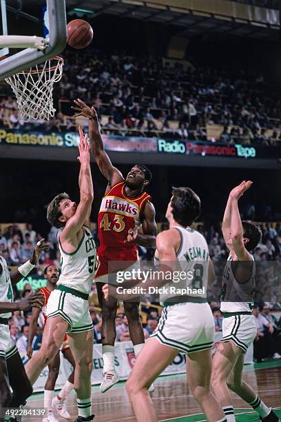 Lorenzo Charles Photos and Premium High Res Pictures Getty Images